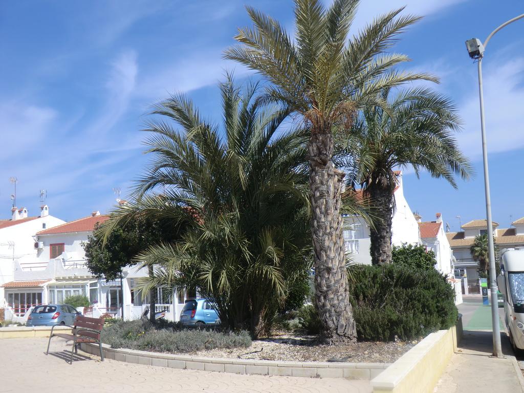 Casas Holiday - Playa La Mata 1 Torrevieja Zewnętrze zdjęcie